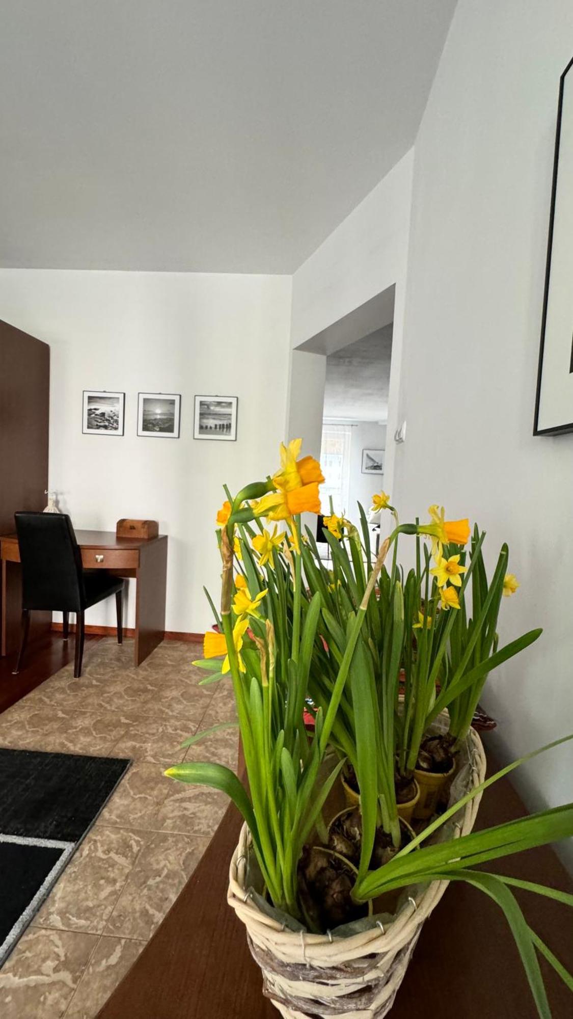 Apartament Rodzinny Kolberg Exterior foto